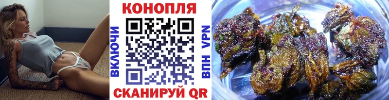 Марихуана OG Kush  Купить где  Невельск 
